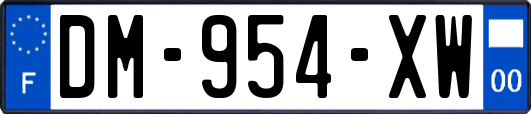 DM-954-XW