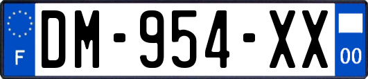 DM-954-XX