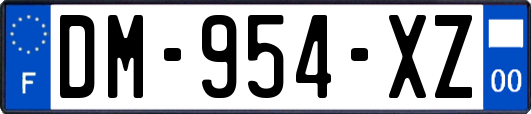 DM-954-XZ