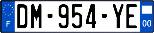 DM-954-YE