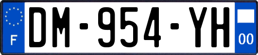 DM-954-YH