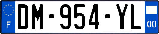 DM-954-YL