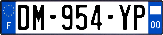 DM-954-YP