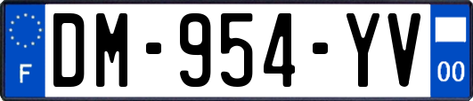 DM-954-YV