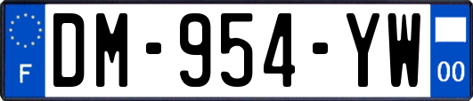 DM-954-YW