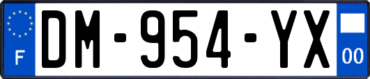 DM-954-YX