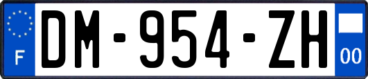 DM-954-ZH