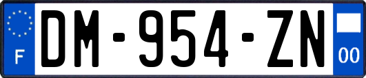 DM-954-ZN