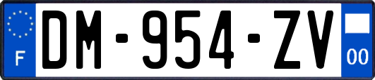 DM-954-ZV