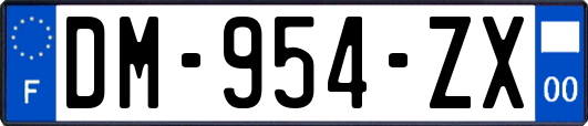 DM-954-ZX