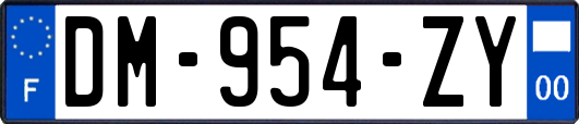 DM-954-ZY