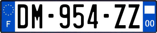 DM-954-ZZ