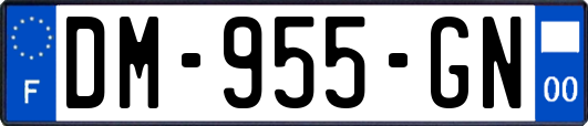 DM-955-GN