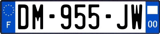 DM-955-JW