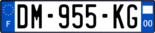 DM-955-KG
