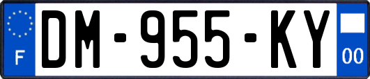 DM-955-KY
