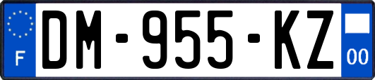 DM-955-KZ