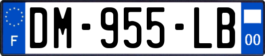 DM-955-LB