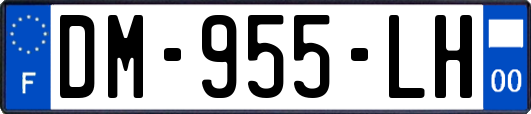 DM-955-LH