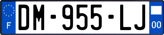 DM-955-LJ
