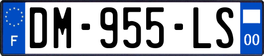 DM-955-LS