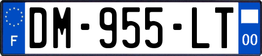 DM-955-LT