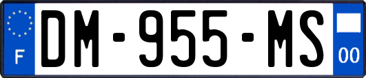 DM-955-MS