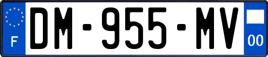 DM-955-MV