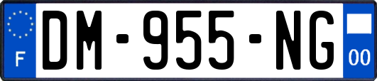 DM-955-NG