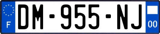 DM-955-NJ