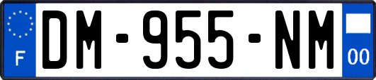 DM-955-NM