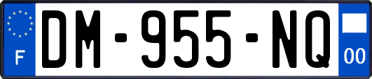 DM-955-NQ