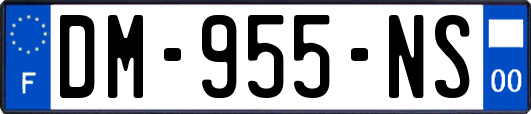 DM-955-NS