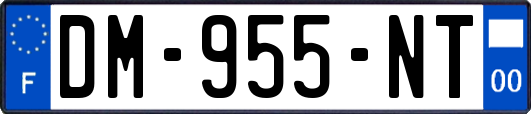 DM-955-NT