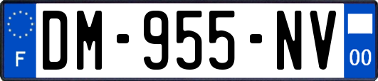 DM-955-NV