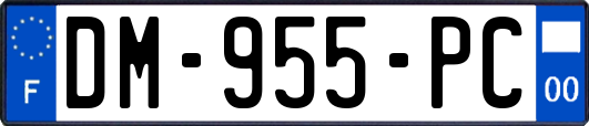 DM-955-PC