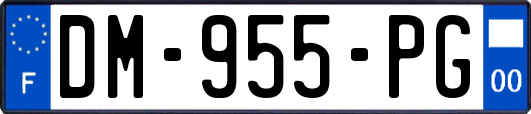 DM-955-PG