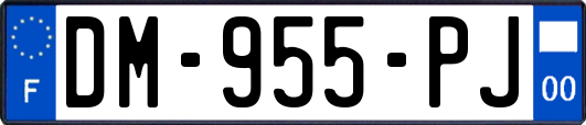 DM-955-PJ