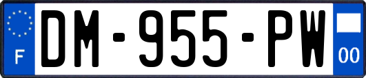 DM-955-PW