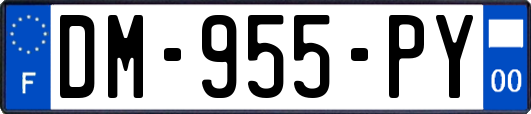 DM-955-PY