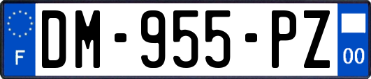 DM-955-PZ