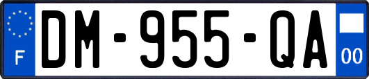 DM-955-QA