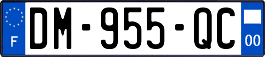 DM-955-QC