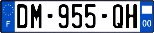 DM-955-QH