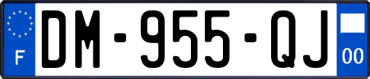 DM-955-QJ