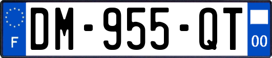 DM-955-QT