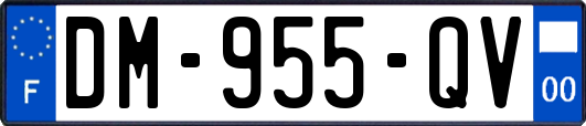 DM-955-QV