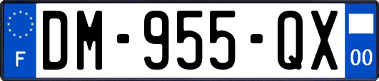 DM-955-QX
