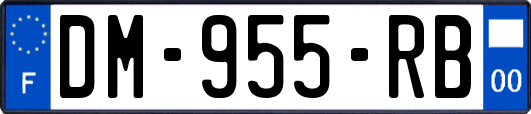 DM-955-RB