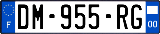 DM-955-RG